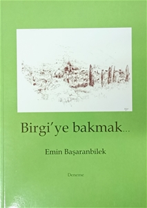 Birgi'ye Bakmak