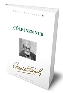 Çöle İnen Nur