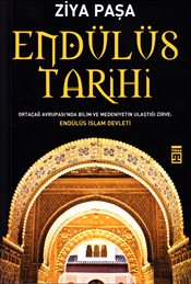 Endülüs Tarihi : Ortaçağ Avrupası'nda Bilim ve Medeniyetin Ulaştığı Zirve Endülüs İslam Devleti