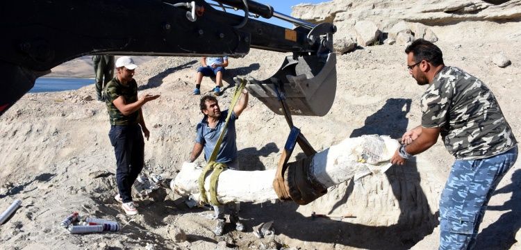 Paleontologlar Yamula Barajı kazılarında primat fosili bulmayı umuyor