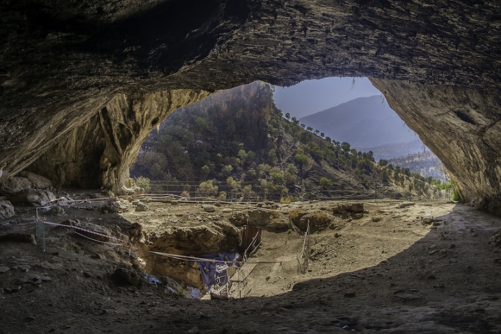 Neandertaller Ölülerini Gerçekten Çiçeklerle mi Gömdü?