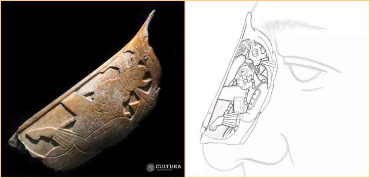 İnsan kemiğinden yapılmış 1400 yıllık bir Maya burun aksesuarı keşfedildi