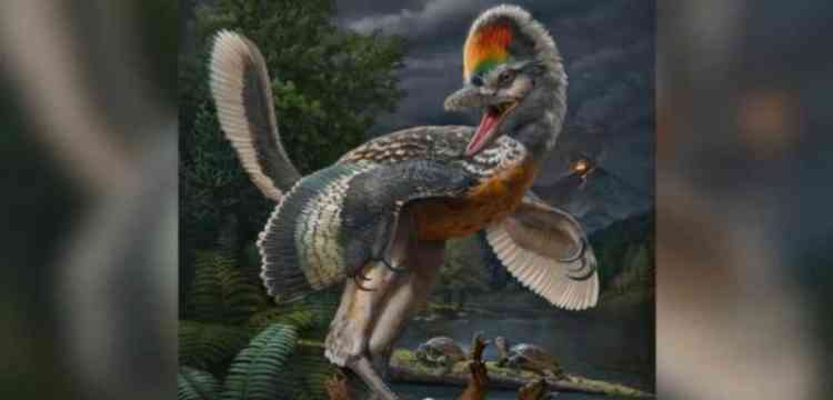 Çin'de kuşa benzeyen bir dinozor türü keşfedildi: Fujianvenator prodigiosus