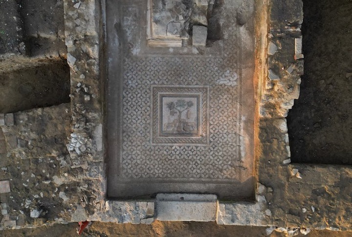 Düzce’deki Prusias ad Hypium’da Aslanlı Mozaik Bulundu