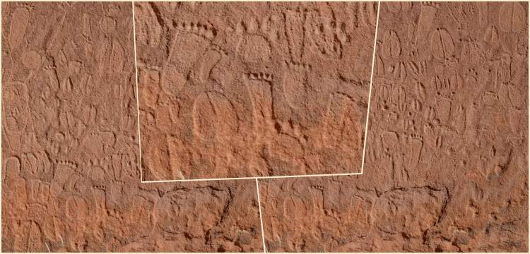 Engraving in Namibia shows detailed human and animal tracks carved in stone