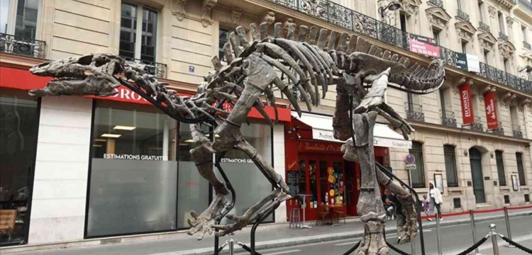 Yüz elli milyon yıllık dinozor fosili Paris'te açık artırmayla satılacak