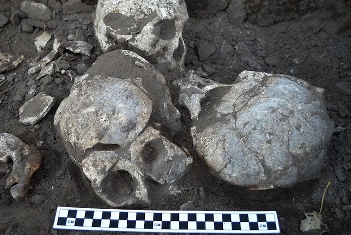 Çin’de, Neolitik Döneme Ait Kelle Avcılığının Kanıtları Bulundu