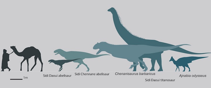 T.rex’in İlkel Kuzenleri, Dinozor Çağının Sonuna Işık Tutuyor