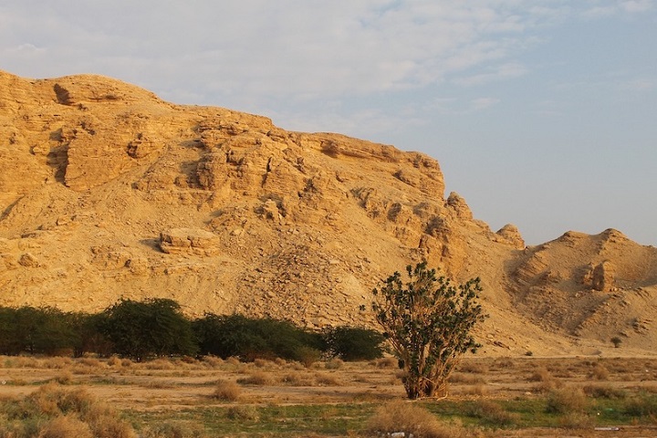 İnsanlar Afrika’dan Yayılırken Arabistan’da Duraklamış