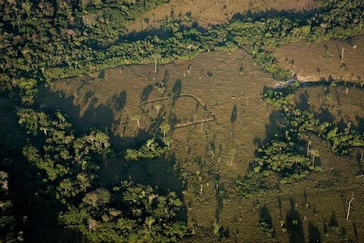 Amazon, Kolomb Öncesi 10.000’den Fazla Yapıyı Saklıyor Olabilir
