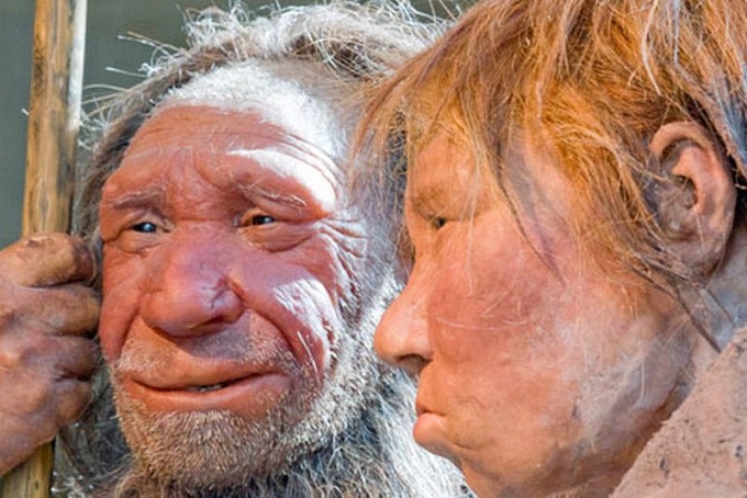 Fazla Otobur Olan Yerlerde Neandertallerle Uzun Süre Yaşadık