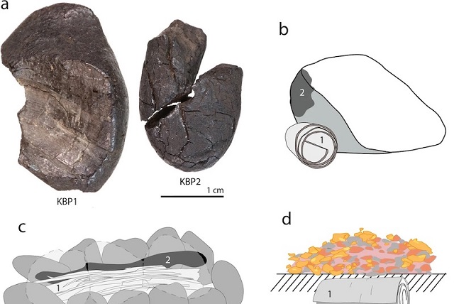 Neandertaller Damıtma Yöntemiyle Yapıştırıcı Üretmiş