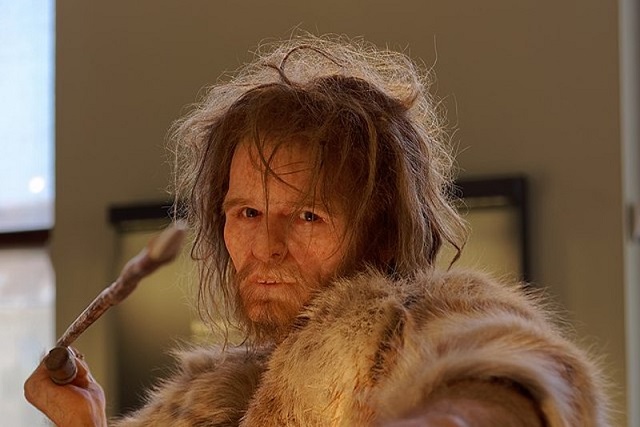 Neandertaller Hem Çakmaktaşı Hem Kemik Alet Kullanmış
