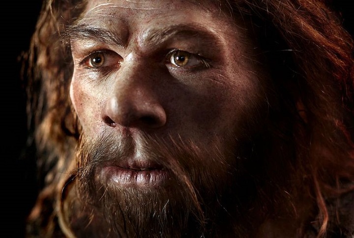 Neandertaller ile İlk Olarak 250.000 Yıl Önce Çiftleşmişiz