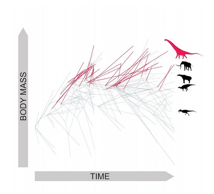 Dev Dinozorların En Büyüğünün Evrimi Nasıl Gerçekleşti?