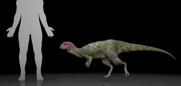 Tayland’da 145 Milyon Yıllık Yeni Bir Dinozor Türü Keşfedildi