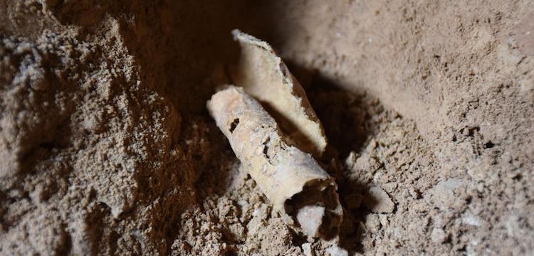Yapay Zeka'ya göre Ölü Deniz Parşömenleri sanılandan daha da eski