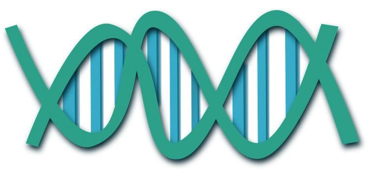 Bilinen tüm insanları kapsayan güncellenmiş DNA haritası yayımlandı