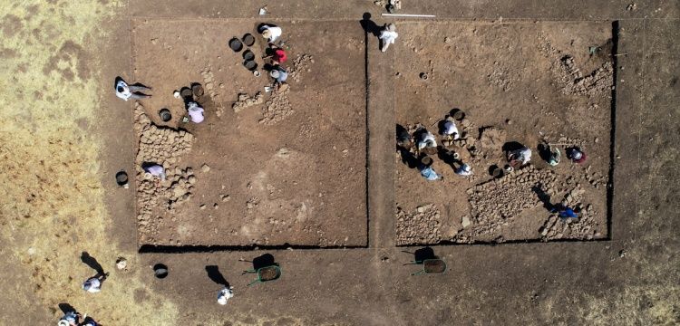 Çayönü Tepesi Kazısı 2025’te 96,68 Puanla “Model Proje” Statüsü Kazandı