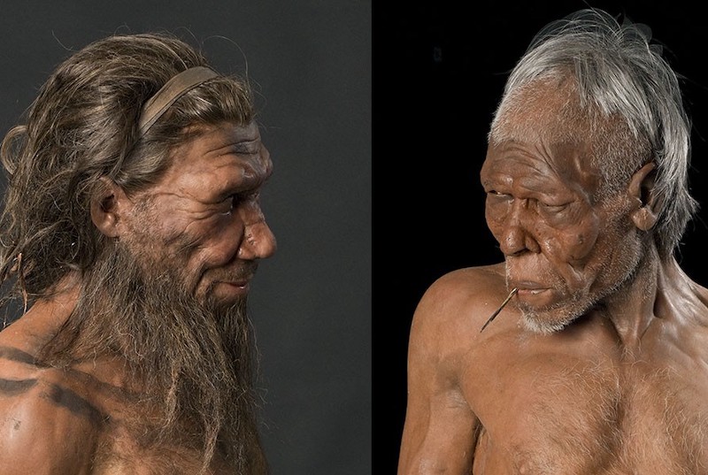 Neandertaller ile 2.900 Yıl Bir Arada Yaşadık