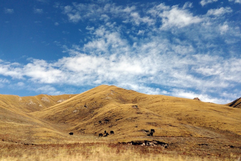 Tibet Platosu’nun Sanılandan Daha Geniş Sosyal Boyutları Vardı