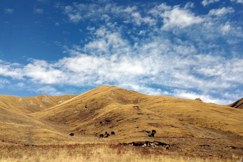 Tibet Platosu’nun Sanılandan Daha Geniş Sosyal Boyutları Vardı