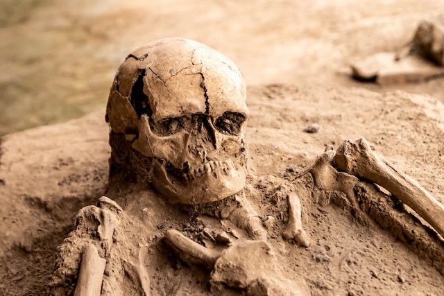 İnsan İskeleti Kalıntılarının Kullanımında Etiğin Rolü