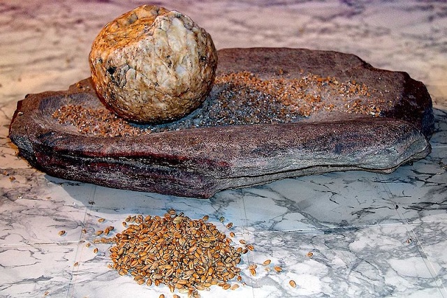 İnsanlar Çok Uzun Süredir ‘İşlenmiş’ Bitkisel Gıdalar Yiyor