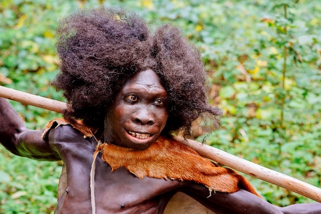 Homo erectus Çok Büyük İhtimalle Konuşabiliyordu