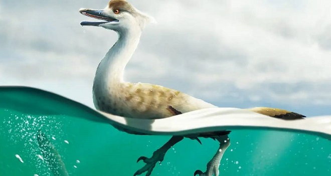 71 Milyon Yıl Önce Yaşamış Ördek Benzeri Yeni Bir Dinozor Türü Keşfedildi