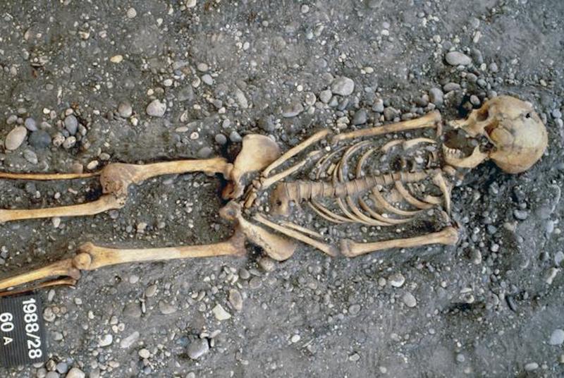 19. Yüzyıl Kadın İşçilerin Günlük Yaşamları İncelendi