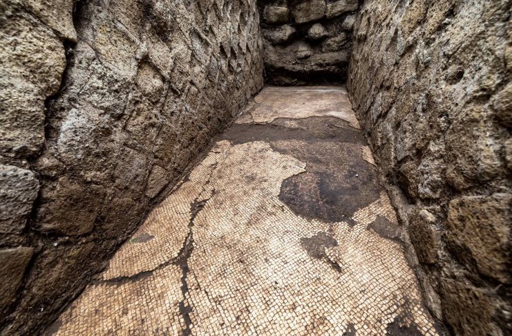Arkeologlar, acımasız Publius Vedius Pollio’nun oturma odasının antik mozaiğini ortaya çıkardılar