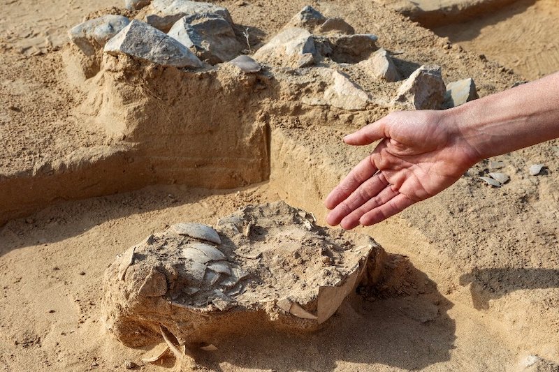 İsrail’de 4.000 Yıllık Devekuşu Yumurtaları Bulundu