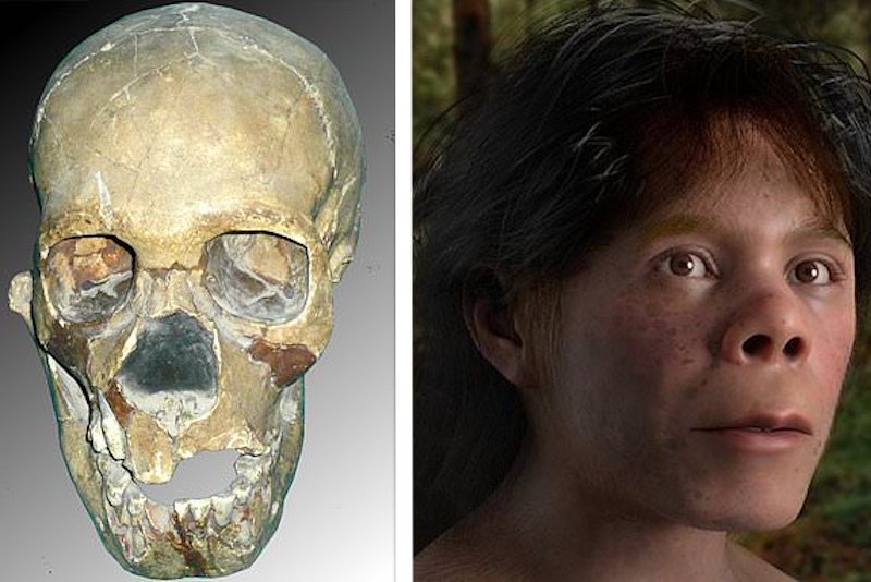 Özbekistan’daki Neandertal Çocuğun Yüzü Canlandırıldı