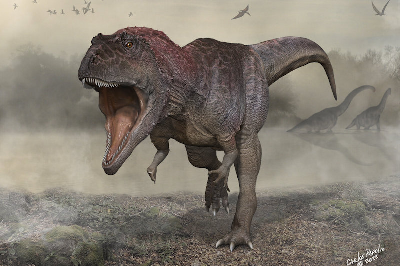 T. rex Gibi Minik Kolları Olan Dev Yırtıcı Dinozor Keşfedildi