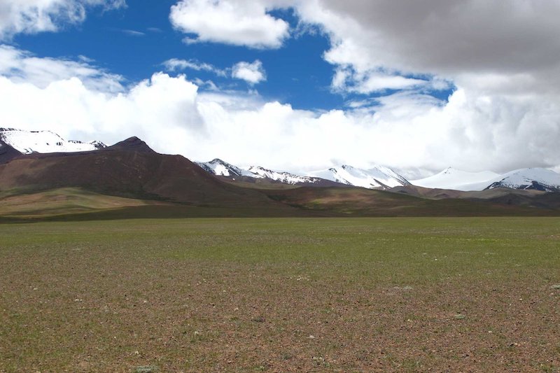 Tibet Platosu’na Kalıcı Olarak İlk Yerleşen Hangi Türdü?
