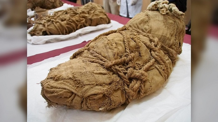 Arkeologlar, Peru’da çoğunlukla çocuklar ve yeni doğanlar olmak üzere demetlere sarılmış 22 mumya keşfettiler