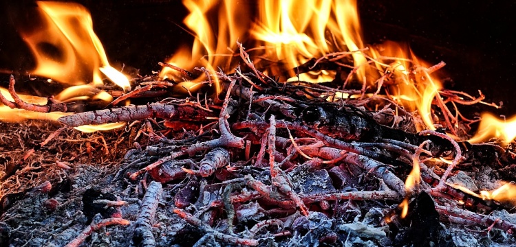 Ateşin Kullanımı ve Kontrolü Beklenenden Çok Önce Başladı