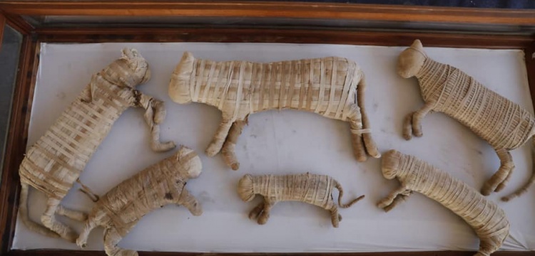 Kedilerin Evcilleştirilme Kronolojisi Yeniden Yazılıyor