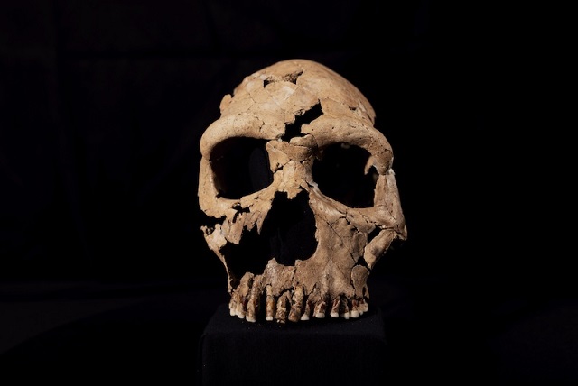 Irak’taki Mağarada Bulunan Neandertalin Yüzü Canlandırıldı