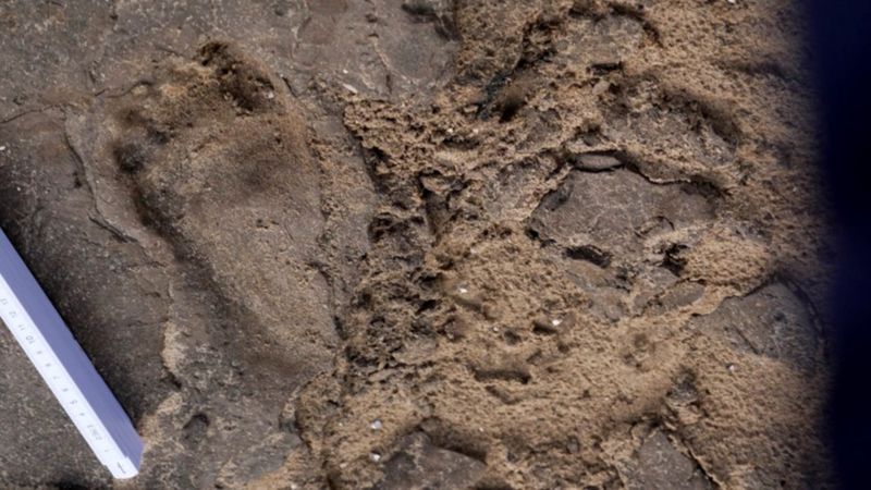 Bilim insanları İngiltere’de bir plajda 9 bin yıllık insan ayak izleri ile karşılaştı