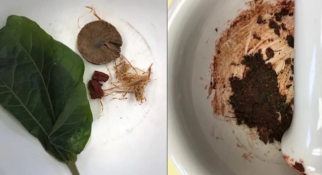 İnsanlar 4.000 Yıl Önce Psikoaktif Areka Ceviziyle Kafa Buluyordu