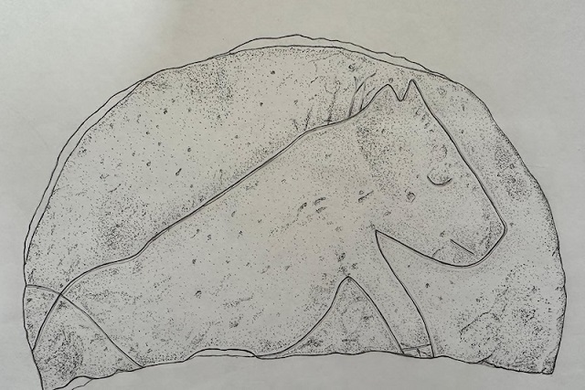 Sefertepe’de Bir Öğütme Taşına Yavru Domuz Çizilmiş