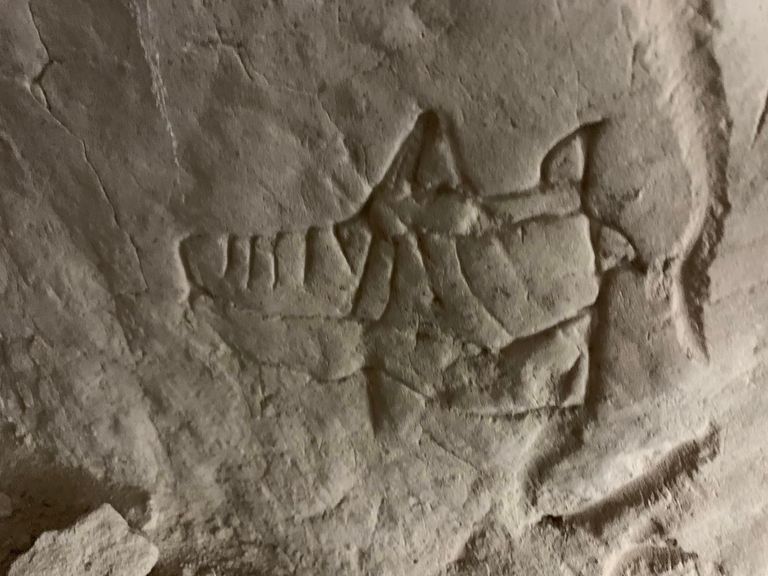 Ukrayna’nın merkezinde keşfedilen hiyeroglifler ve Varangian sembolleri içeren bir mağara kompleksi