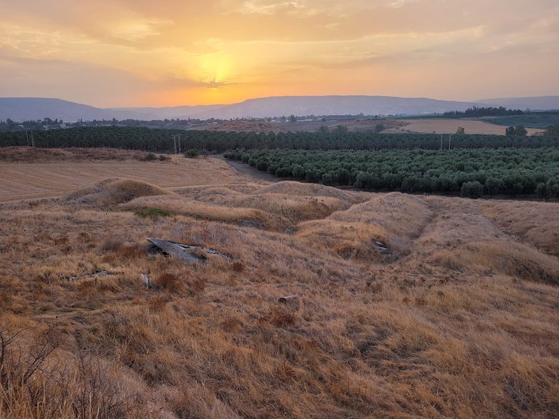 Ürdün Vadisi’nde 1.5 Milyon Yıllık İnsan Omuru Bulundu