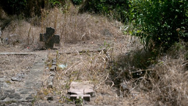 Vampirler Burada Doğdu: Dünyanın En Eski Vampir Efsanesinin Arkasındaki Unutulmuş Sırp Köyü