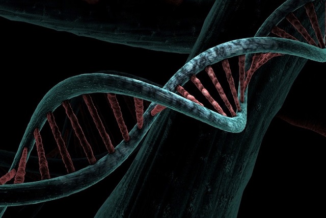 DNA’nın Bir Son Kullanma Tarihi Var, Ama Proteinlerin Yok