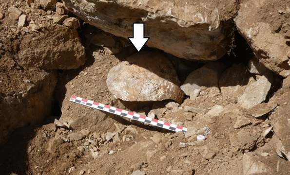 Arkeologlar, Palencia'da Romalı Birlikler Tarafından Savaş Ganimeti Olarak Sergilenen Kantabrialı Bir Savaşçının Kesik Kafatasını Buldu