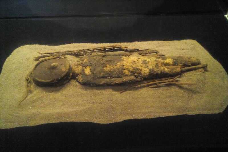 Atacama Çölü’ndeki Mumyaların Beyni Neden Bu Kadar Küçük?