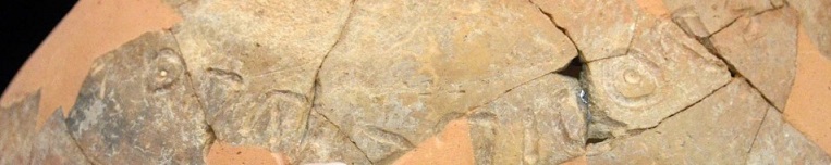 3000 yıllık çömlek üzerinde nadir Kenan yazıt bulundu